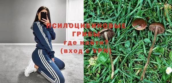 спайс Майский
