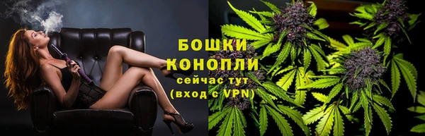 PSILOCYBIN Медвежьегорск