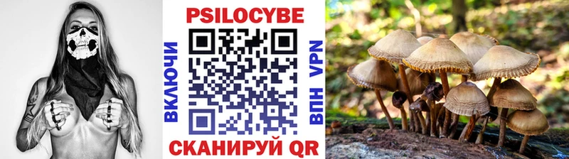 хочу   ОМГ ОМГ как войти  Галлюциногенные грибы Psilocybe  Яровое 