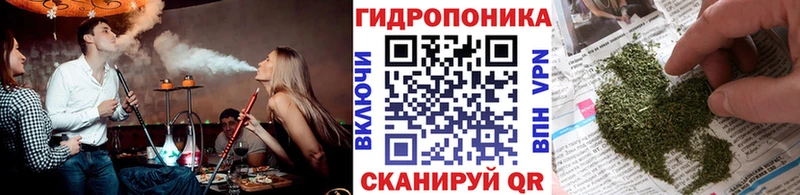 сколько стоит  Яровое  Канабис сатива 